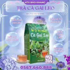 Trà Túi Lọc Cà Gai Leo
