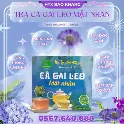 Trà Túi Lọc Cà Gai Leo Mật Nhân
