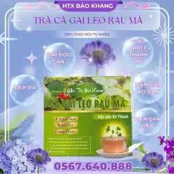 Trà Túi Lọc Cà Gai Leo Rau Má Bảo Khang