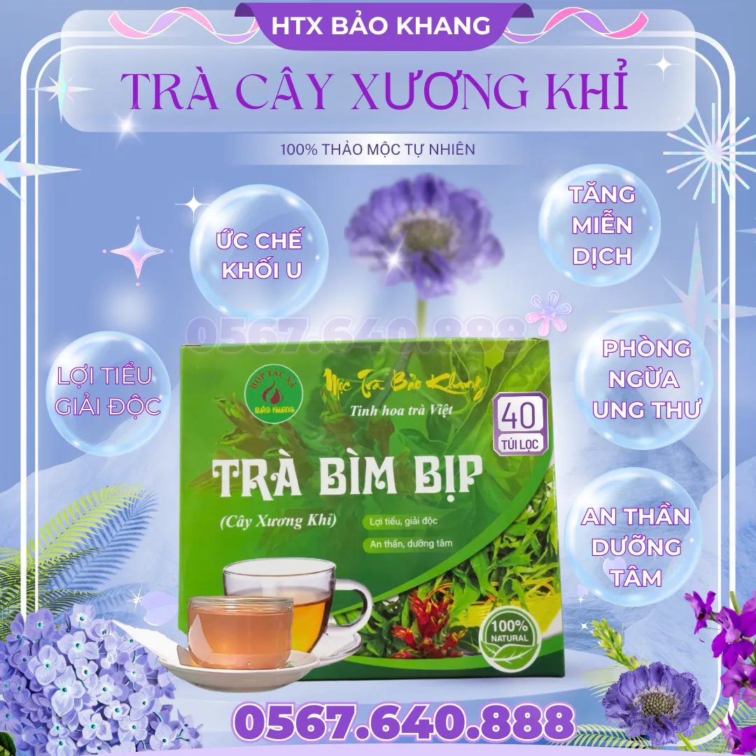 Trà Túi Lọc Bìm Bịp (Cây Xương Khỉ)