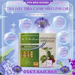 Trà Túi Lọc Dây Thìa Canh Nấm Linh Chi