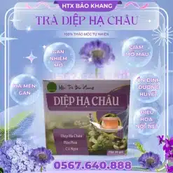 TRÀ TÚI LỌC DIỆP HẠ CHÂU BẢO KHANG