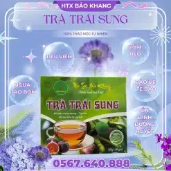 Trà Túi Lọc Trái Sung Bảo Khang