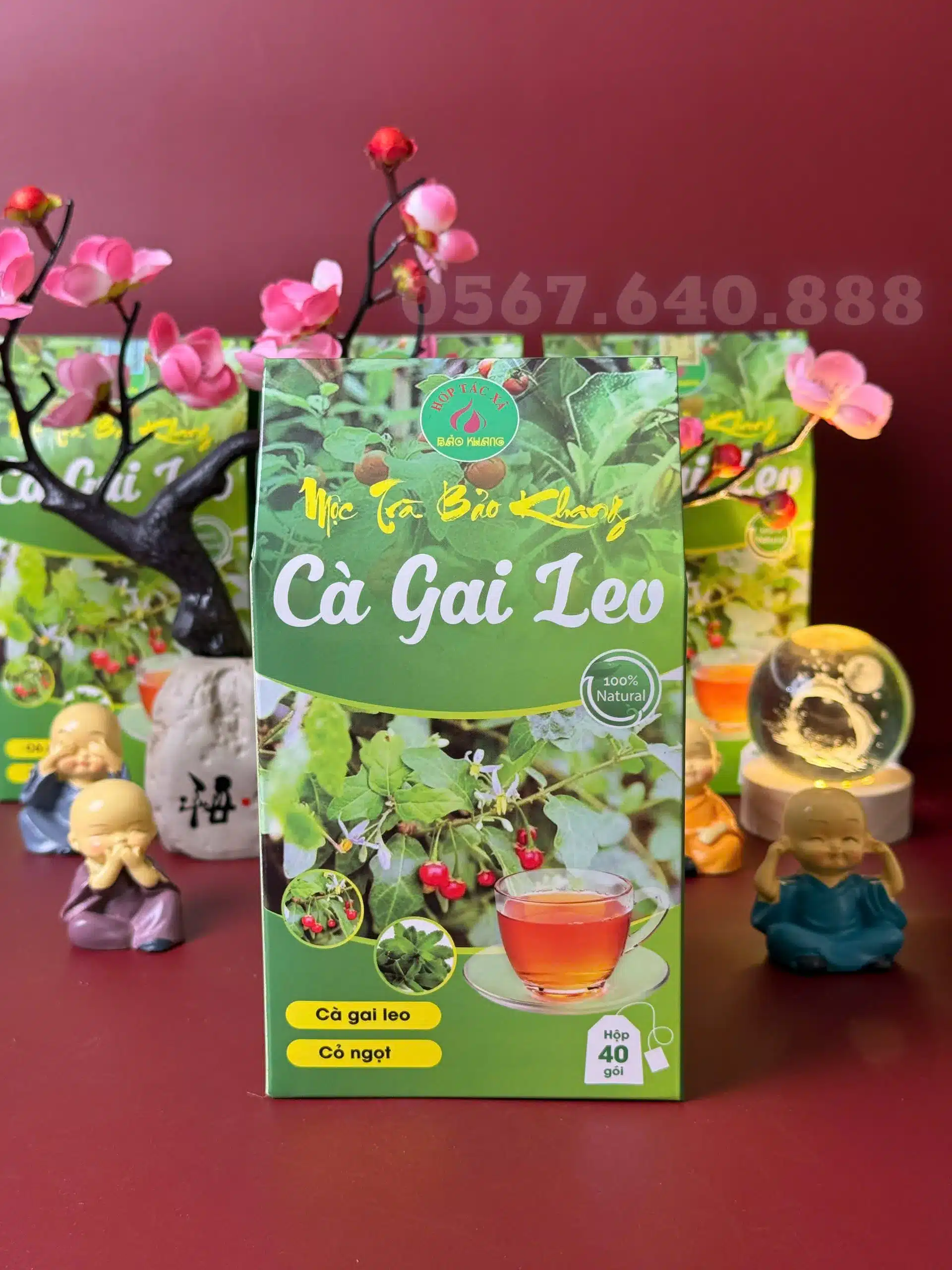 trà cà gai leo_16