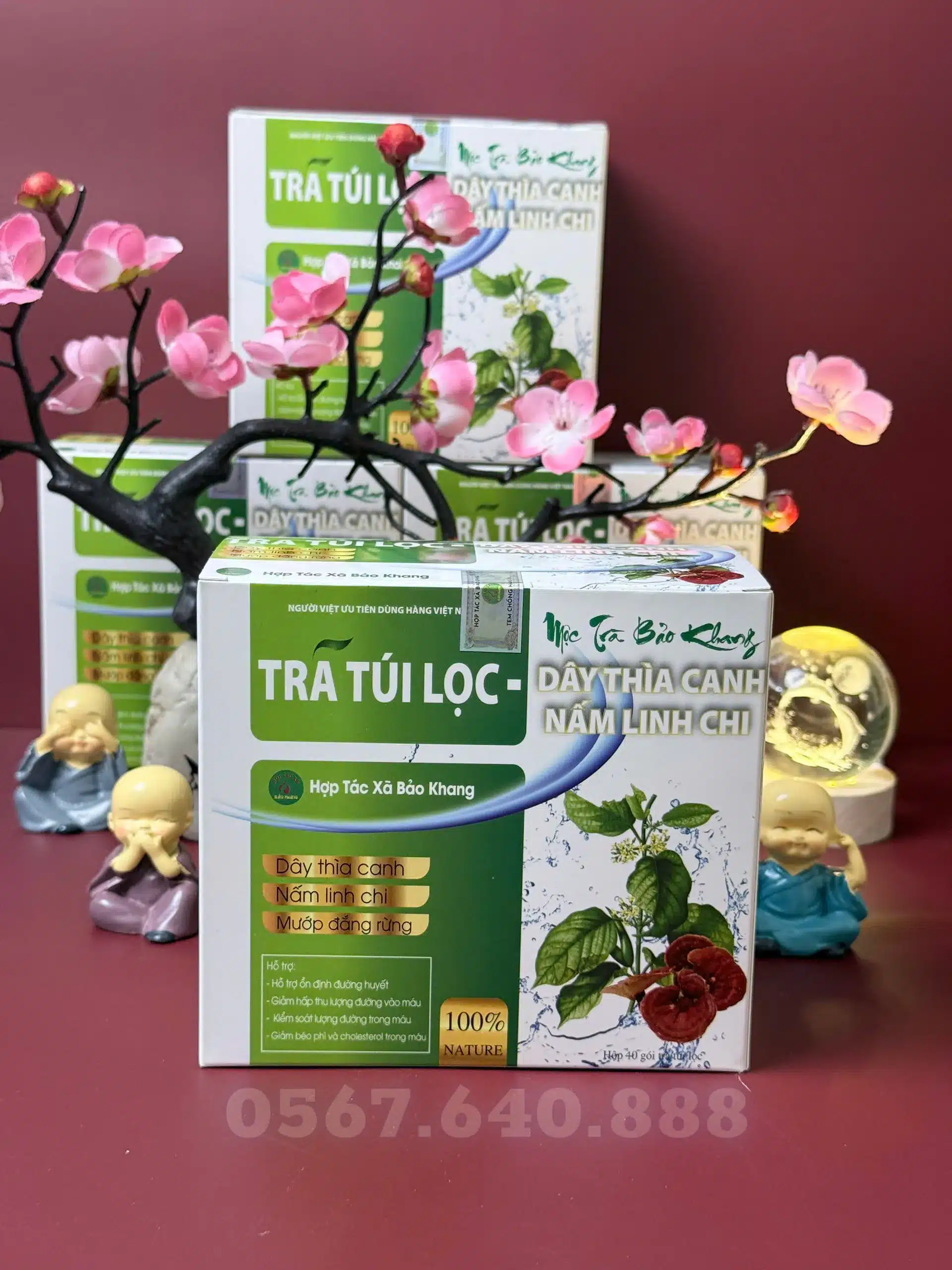 trà dây thìa canh nấm linh chi_10