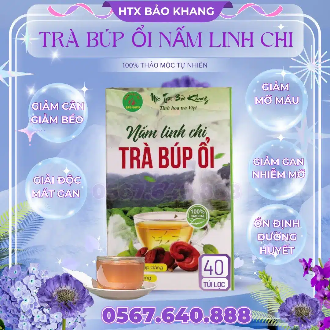 Trà Túi Lọc Búp Ổi Nấm Linh Chi Bảo Khang