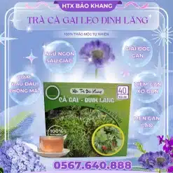 Trà Túi Lọc Cà Gai Leo Đinh lăng Bảo Khang