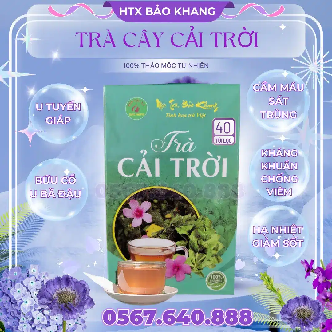 Trà Túi Lọc Cây Cải Trời Bảo Khang