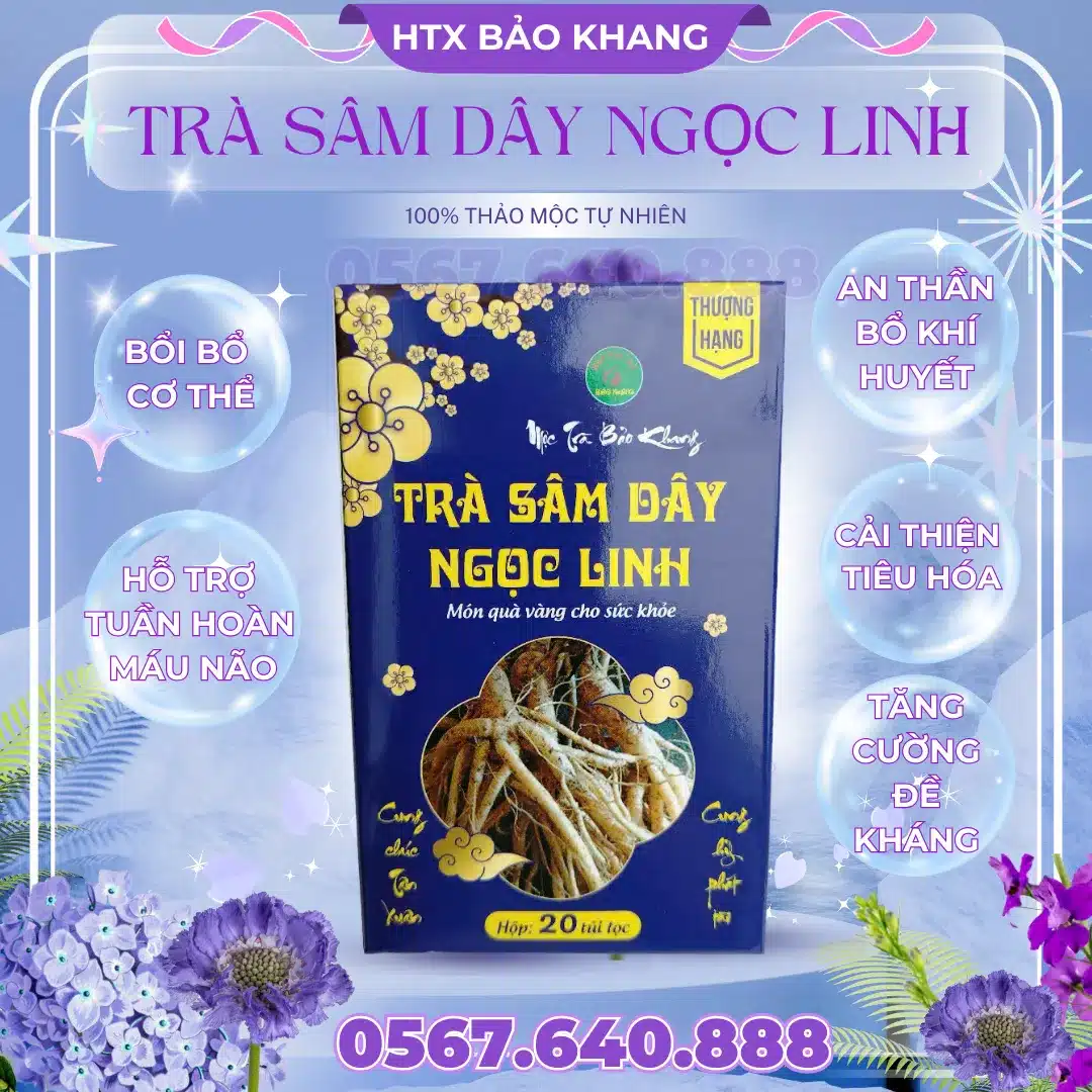 Trà Túi Lọc Sâm Dây Ngọc Linh Bảo Khang
