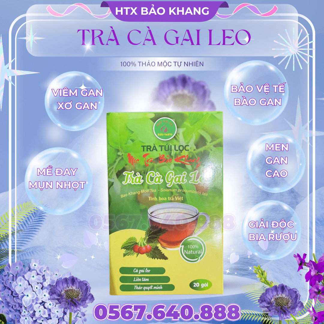 Trà Túi Lọc Cà Gai Leo Bảo Khang
