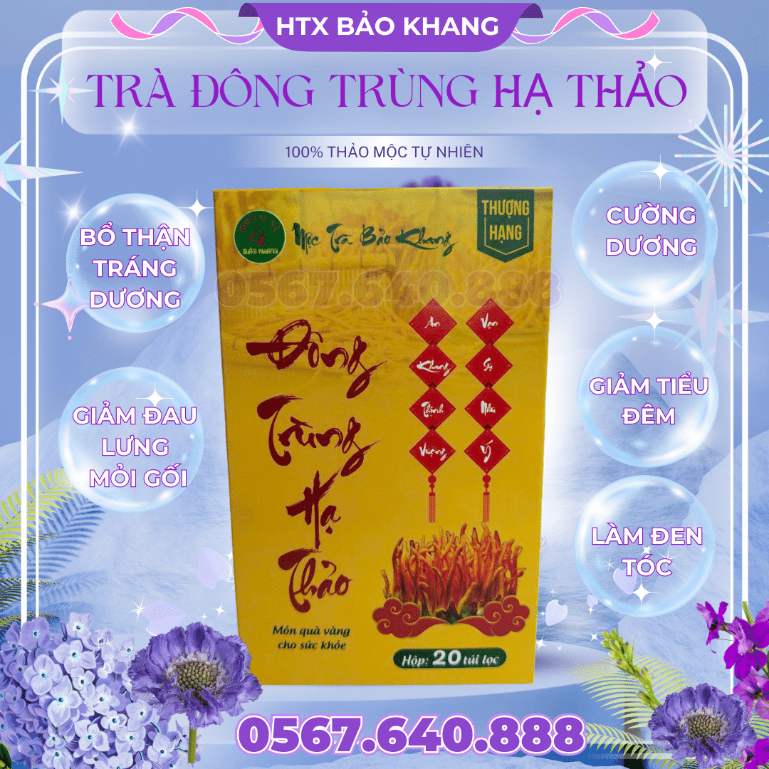 Trà Túi Lọc Đông Trùng Hạ Thảo Bảo Khang