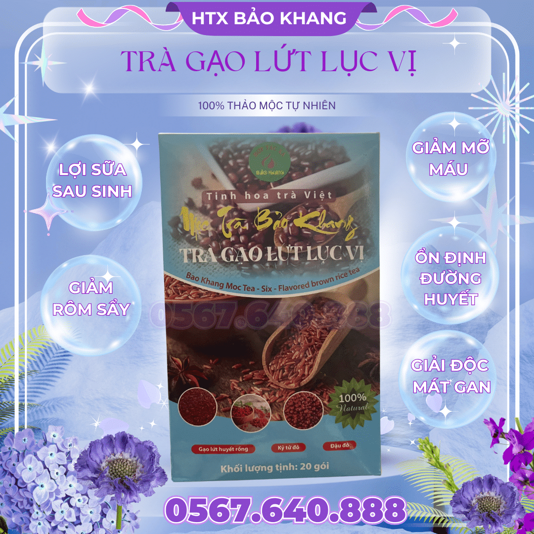 Trà Túi Lọc Gạo Lứt Lục Vị Bảo Khang