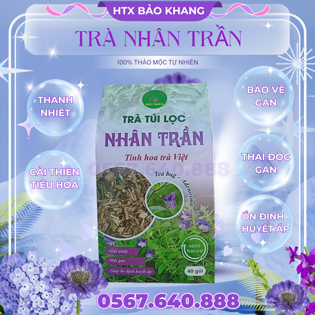 Trà Túi Lọc Nhân Trần Bảo Khang