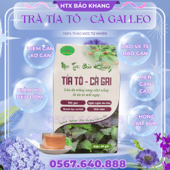 Trà Túi Lọc Cà Gai Leo Tía Tô Bảo Khang