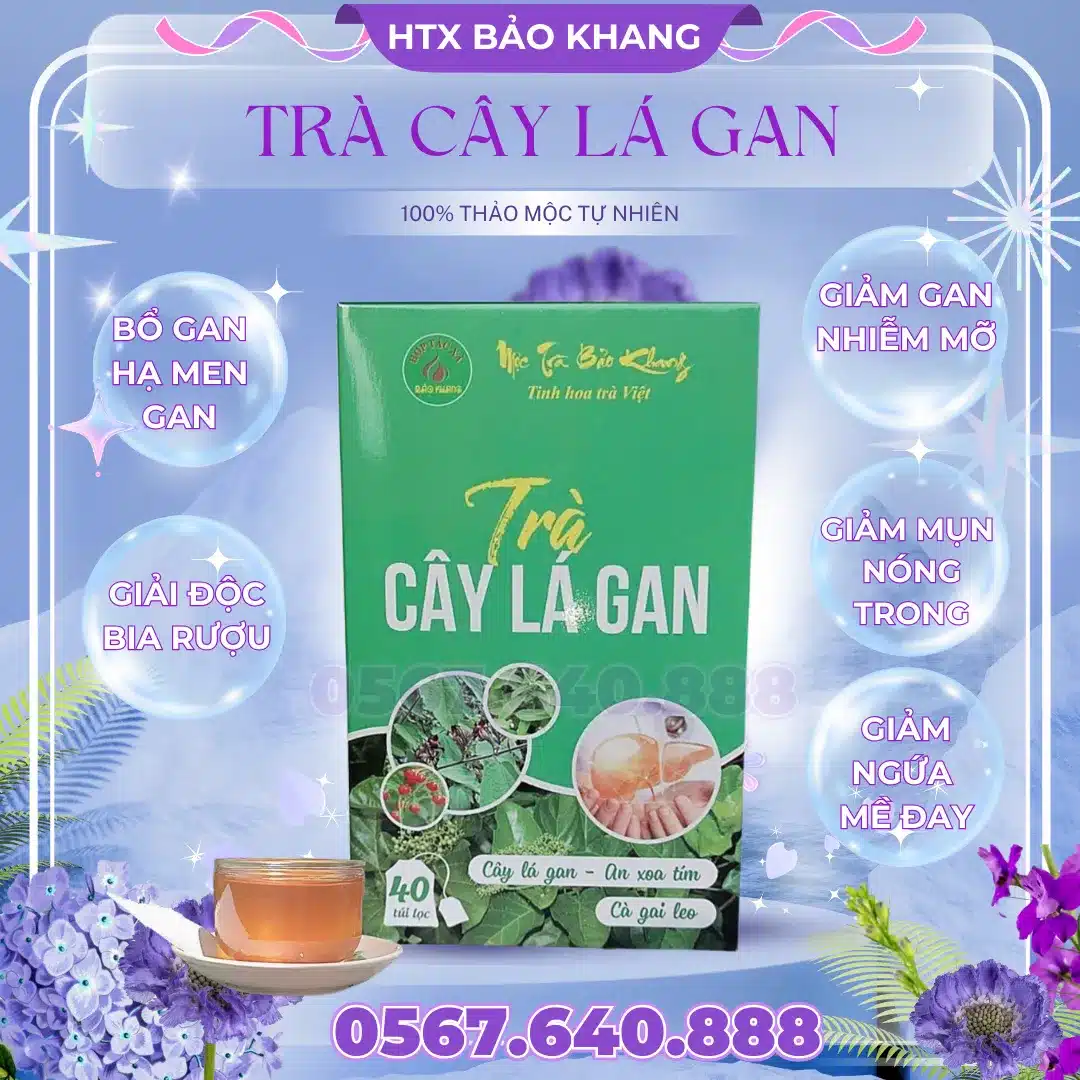 Trà Túi Lọc Cây Lá Gan Bảo Khang