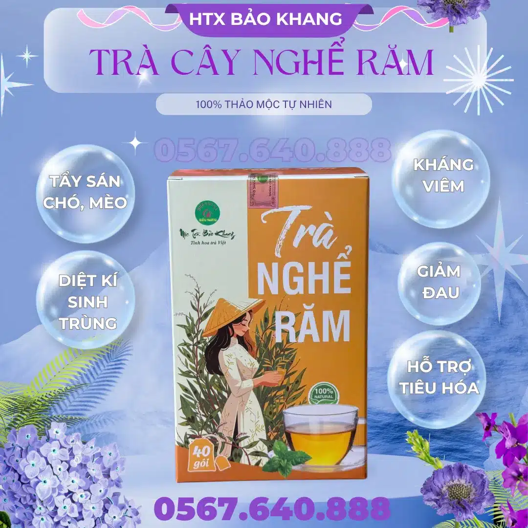 Trà Túi Lọc Cây Nghể Răm Bảo Khang