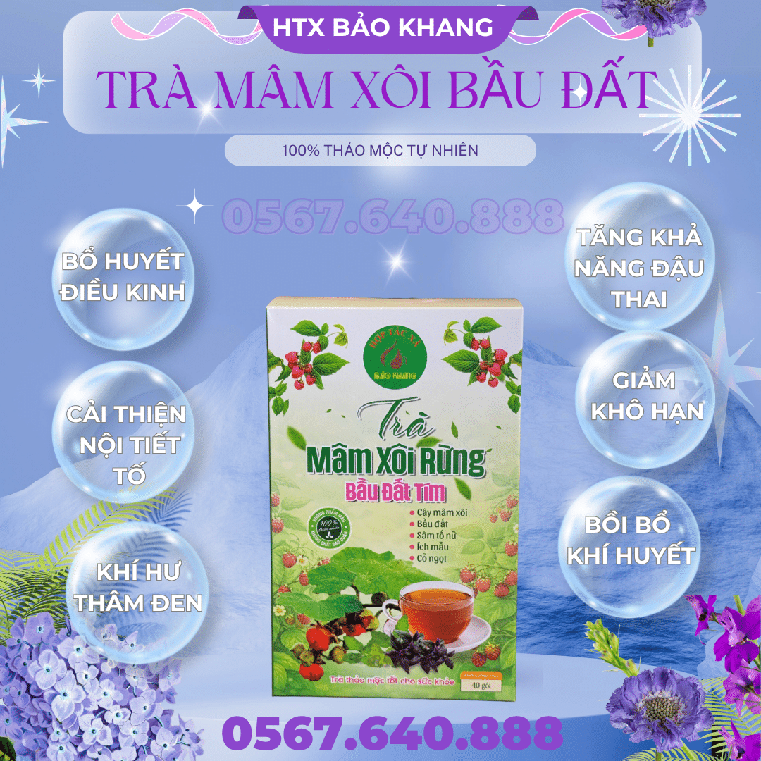 Trà Túi Lọc Mâm Xôi Rừng Bầu Đất Tím Bảo Khang