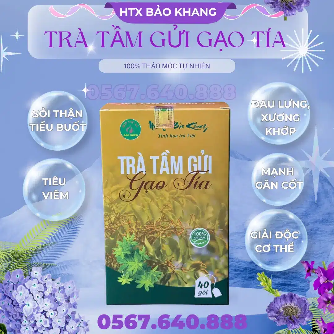 Trà Túi Lọc Tầm Gửi Gạo Tía Bảo Khang