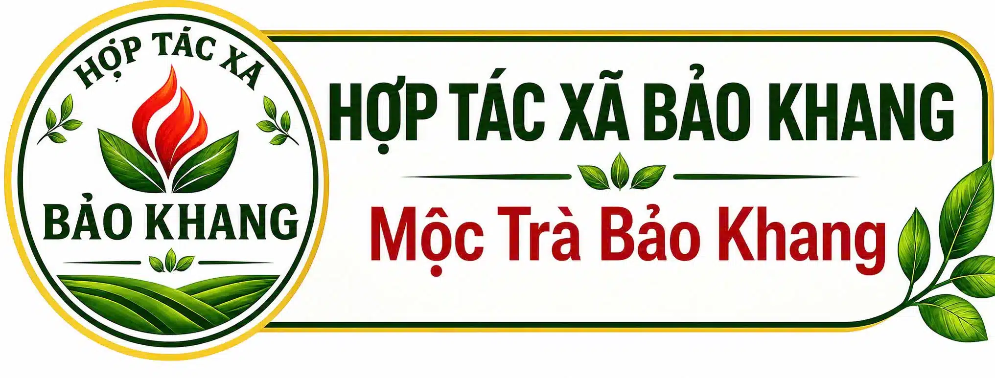 Hợp tác xã bảo khang – Mộc trà bảo khang