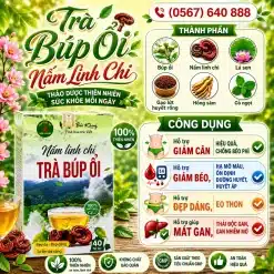 Trà Túi Lọc Búp Ổi Nấm Linh Chi Bảo Khang