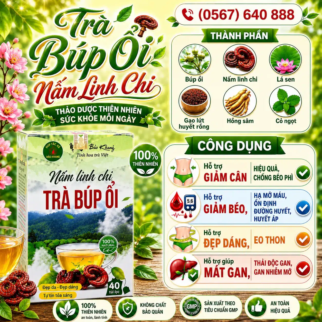 Trà Túi Lọc Búp Ổi Nấm Linh Chi Bảo Khang