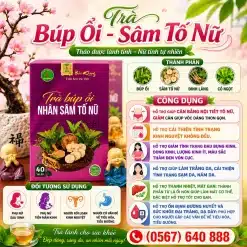 Trà Túi Lọc Búp ỔI Nhân Sâm Tố Nữ Bảo Khang