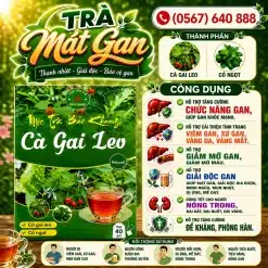 Trà Túi Lọc Cà Gai Leo