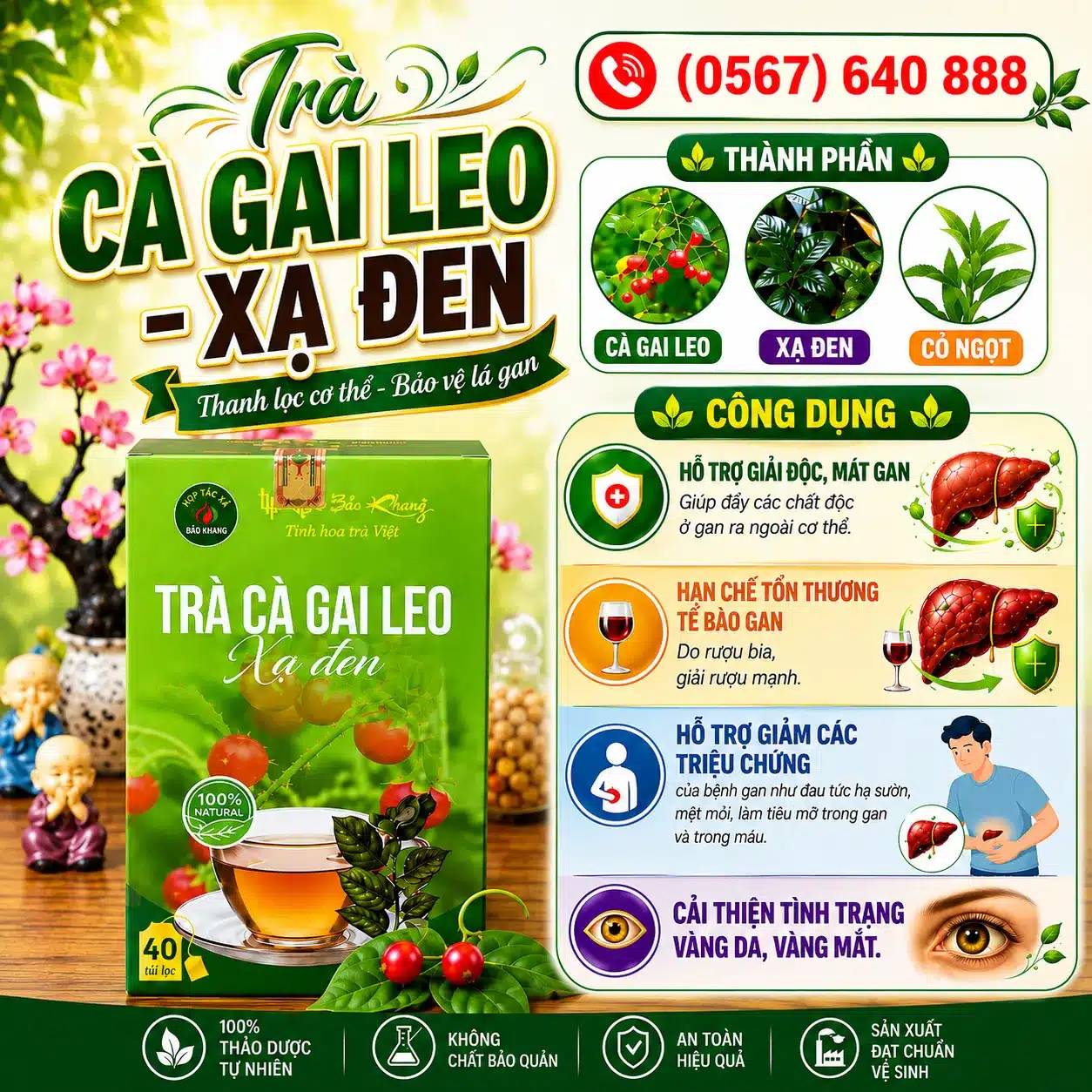 Trà Túi Lọc Cà Gai Leo Xạ Đen Bảo Khang