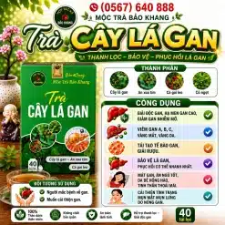 Trà Túi Lọc Cây Lá Gan Bảo Khang