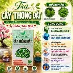 Trà Túi Lọc Cây Thông Đất Bảo Khang