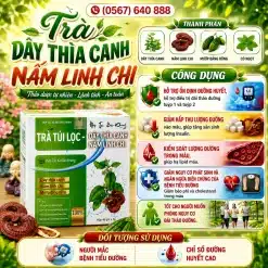 Trà Túi Lọc Dây Thìa Canh Nấm Linh Chi