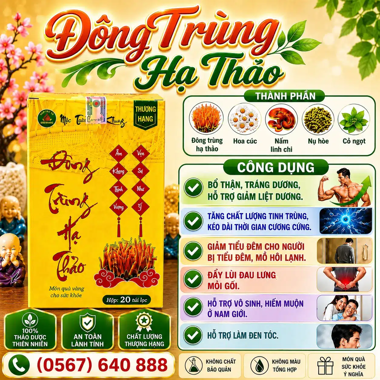 Trà Túi Lọc Đông Trùng Hạ Thảo Bảo Khang
