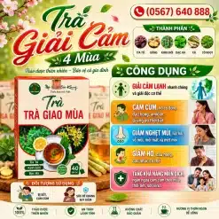 Trà Túi Lọc Giao Mùa Bảo Khang