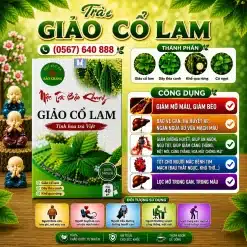 Trà Túi Lọc Giảo Cổ Lam Bảo Khang