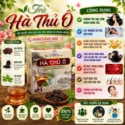 Trà Túi Lọc Hà Thủ Ô Bảo Khang