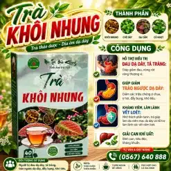Trà Túi Lọc Khôi Nhung (Khôi Tía ) Bảo Khang