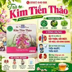 Trà Túi Lọc Kim Tiền Thảo Bảo Khang