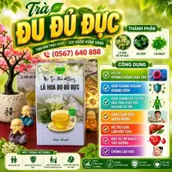 Trà Túi Lọc Hoa Đu Đủ Đực Bảo Khang