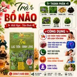 Trà Túi Lọc Tiền Đình (Đinh Lăng Lạc Tiên) Bảo Khang