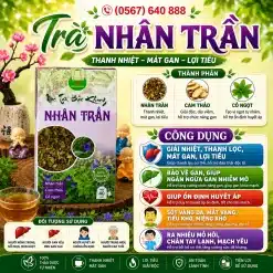 Trà Túi Lọc Nhân Trần Bảo Khang