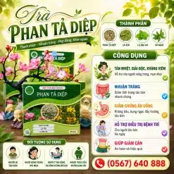 Trà Túi Lọc Phan Tả Diệp Bảo Khang