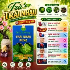 Trà Túi Lọc Trái Nhàu Rừng Bảo Khang