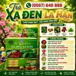 Trà Túi Lọc Xạ Đen La Hán Bảo Khang
